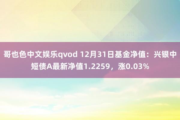 哥也色中文娱乐qvod 12月31日基金净值：兴银中短债A最新净值1.2259，涨0.03%