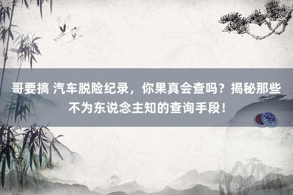 哥要搞 汽车脱险纪录，你果真会查吗？揭秘那些不为东说念主知的查询手段！