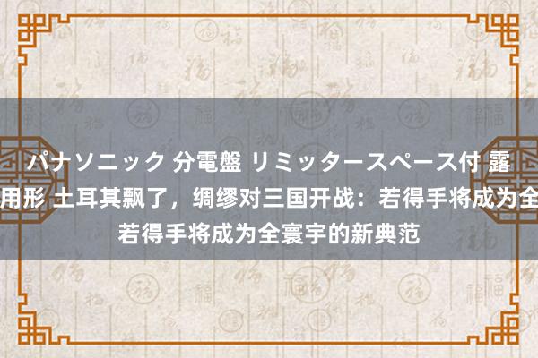 パナソニック 分電盤 リミッタースペース付 露出・半埋込両用