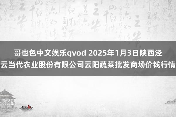 哥也色中文娱乐qvod 2025年1月3日陕西泾云当代农业股