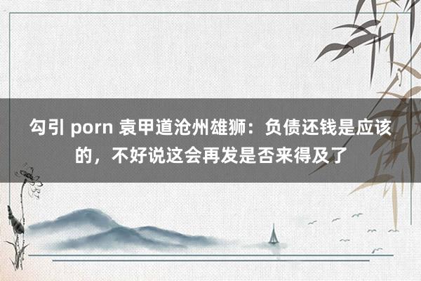 勾引 porn 袁甲道沧州雄狮：负债还钱是应该的，不好说这会再发是否来得及了