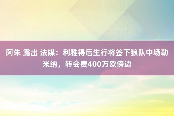 阿朱 露出 法媒：利雅得后生行将签下狼队中场勒米纳，转会费400万欧傍边