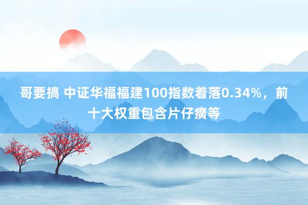 哥要搞 中证华福福建100指数着落0.34%，前十大权重包含