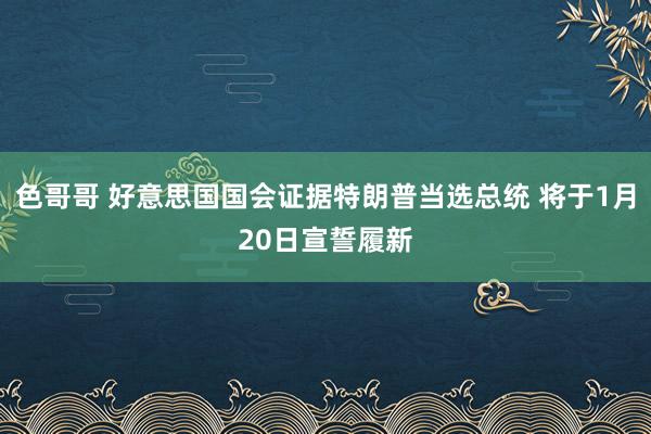 色哥哥 好意思国国会证据特朗普当选总统 将于1月20日宣誓履