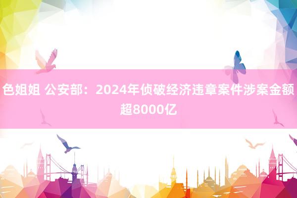 色姐姐 公安部：2024年侦破经济违章案件涉案金额超8000