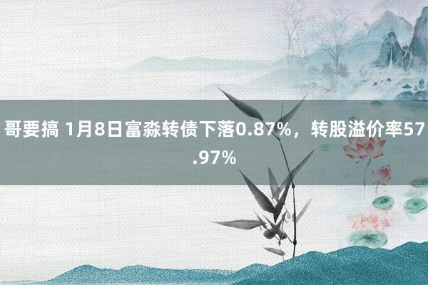 哥要搞 1月8日富淼转债下落0.87%，转股溢价率57.97