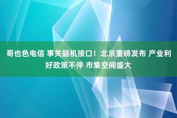 哥也色电信 事关脑机接口！北京重磅发布 产业利好政策不停 市