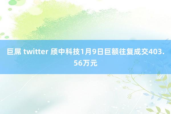 巨屌 twitter 颀中科技1月9日巨额往复成交403.5