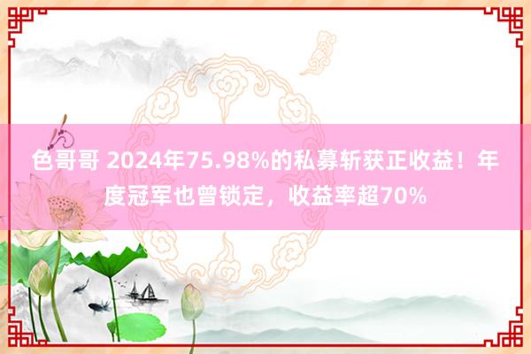 色哥哥 2024年75.98%的私募斩获正收益！年度冠军也曾