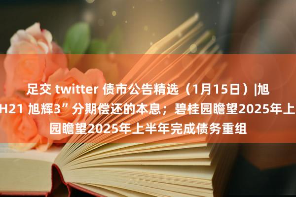 足交 twitter 债市公告精选（1月15日）|旭辉集团尚未筹足“H21 旭辉3”分期偿还的本息；碧桂园瞻望2025年上半年完成债务重组